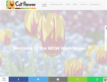Tablet Screenshot of cutflower.com